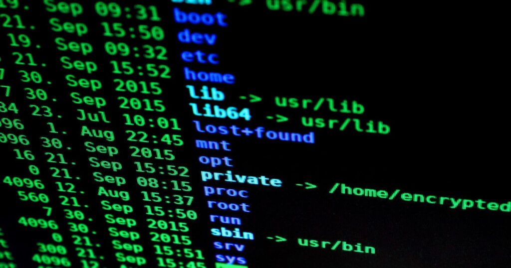 Linux or Windows Server? 5 Best Factors for a Proven Choice