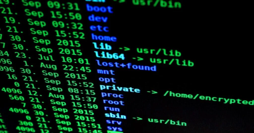 Linux or Windows Server? 5 Best Factors for a Proven Choice
