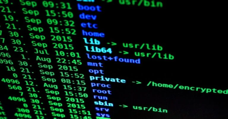 Linux or Windows Server? 5 Best Factors for a Proven Choice